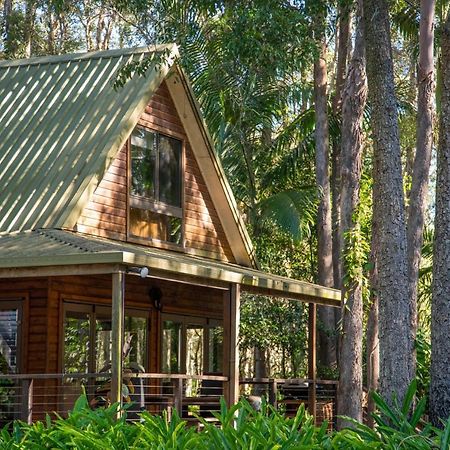 Buddha'S Bungalow Byron Bay Eksteriør bilde