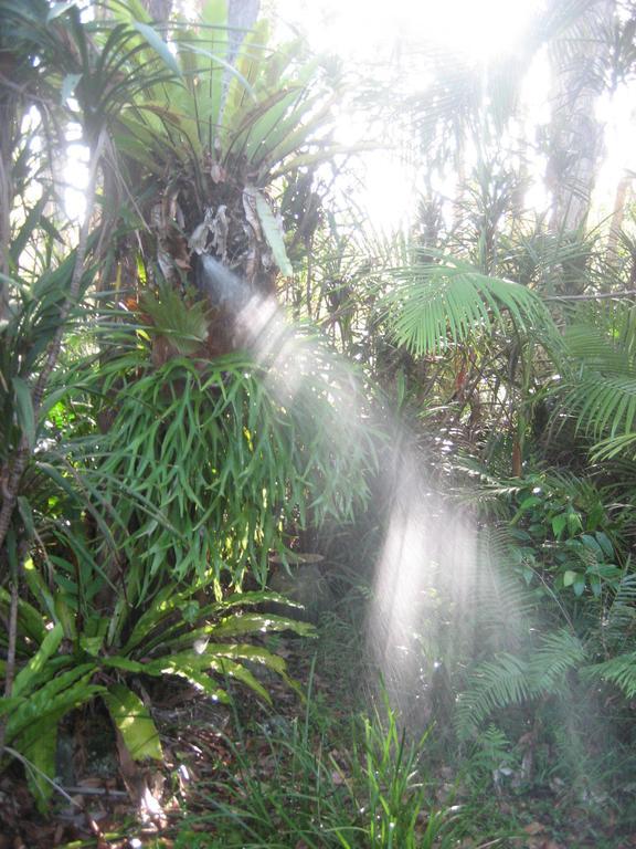 Buddha'S Bungalow Byron Bay Rom bilde